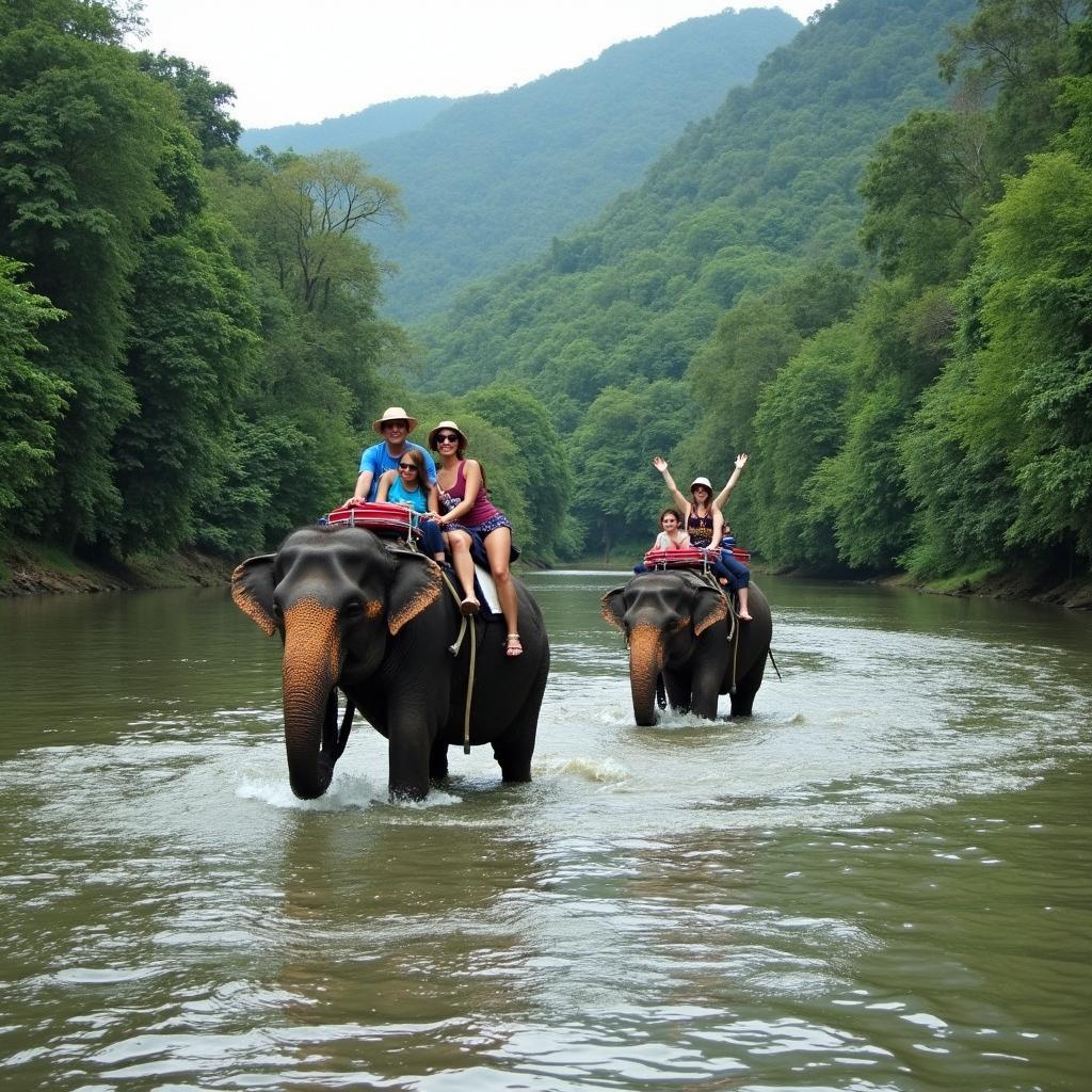 Du khách cưỡi voi vượt sông Sêrêpốk tại Buôn Đôn, Đắk Lắk với rừng cây xanh xung quanh