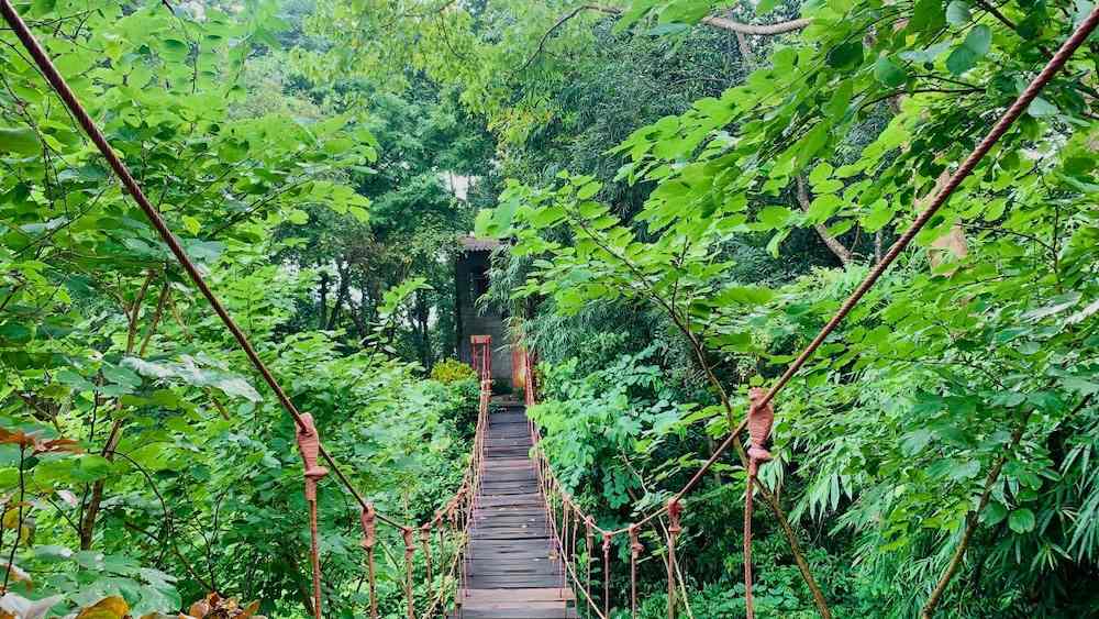 Khám phá Vườn Lan Rừng Khu Du Lịch Sinh Thái Troh Bư