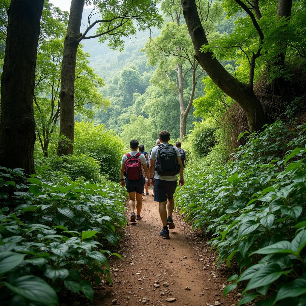 Trekking khám phá vẻ đẹp hoang sơ của rừng Nam Ka, Đắk Lắk